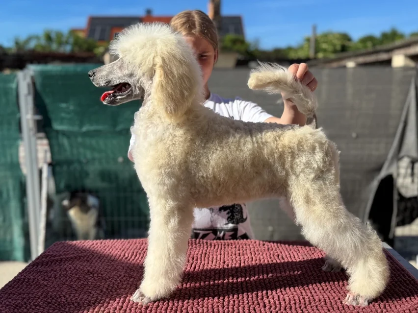 Fluffy