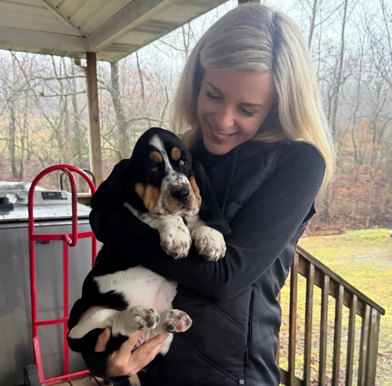 Diol, Basset hound puppy