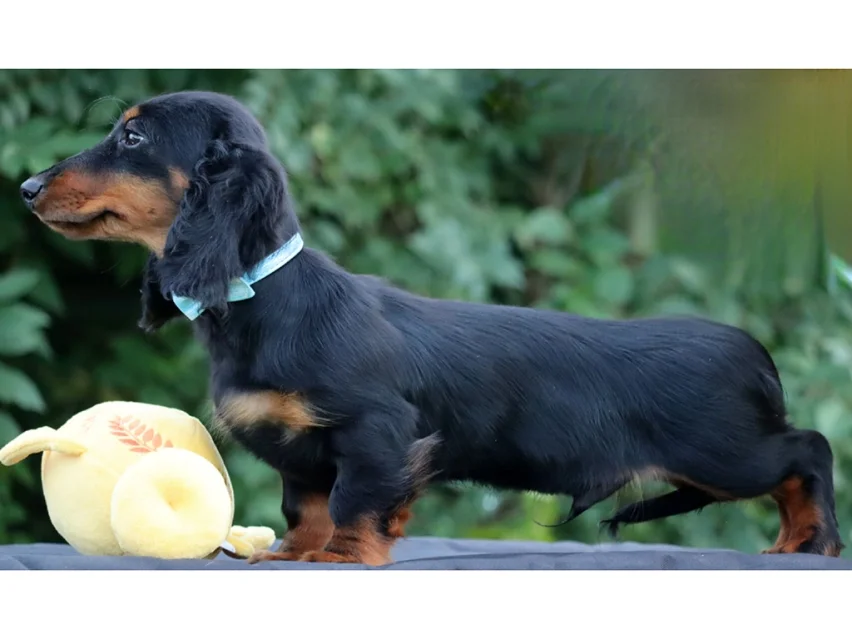 Pluto thumbnail 2
